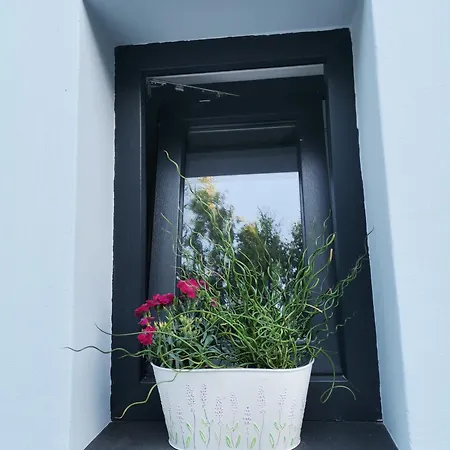 4 Pory Roku Apartment Darlowo Exterior photo